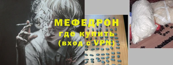 шишки Новодвинск