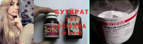 шишки Новодвинск
