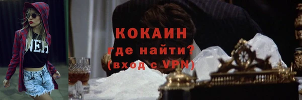 сатива Богданович