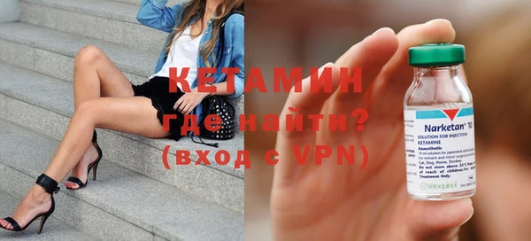 шишки Новодвинск