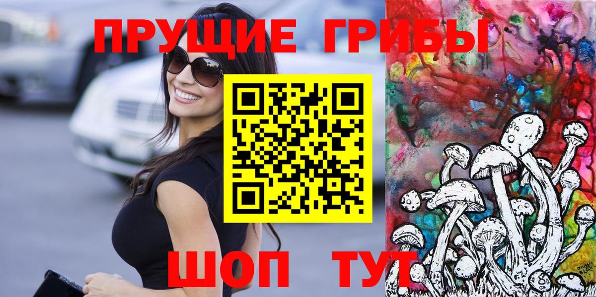 Псилоцибиновые грибы GOLDEN TEACHER Барнаул