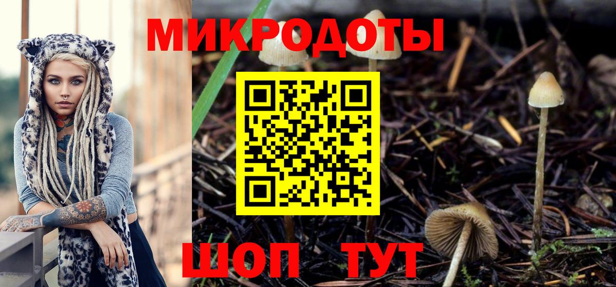 Барнаул  что такое   Псилоцибиновые грибы Cubensis  Вход с VPN  Галлюциногенные грибы прущие грибы 